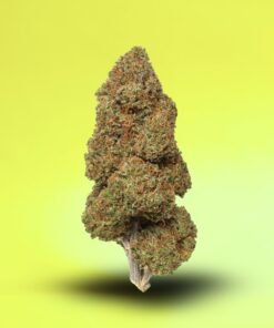 Sour Diesel CBD Hemp Flower