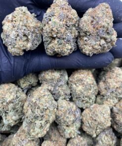 Blue Gelato uk