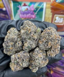 ⬆️Sweetz Exotics 🍭